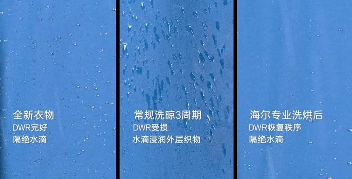 1713515536651280.jpg 未命名-1.jpg