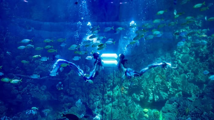 1715767735255442.jpg 未命名-4.jpg