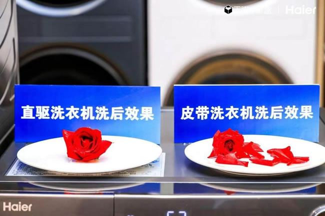 1726741295999068.jpg 未命名-4.jpg