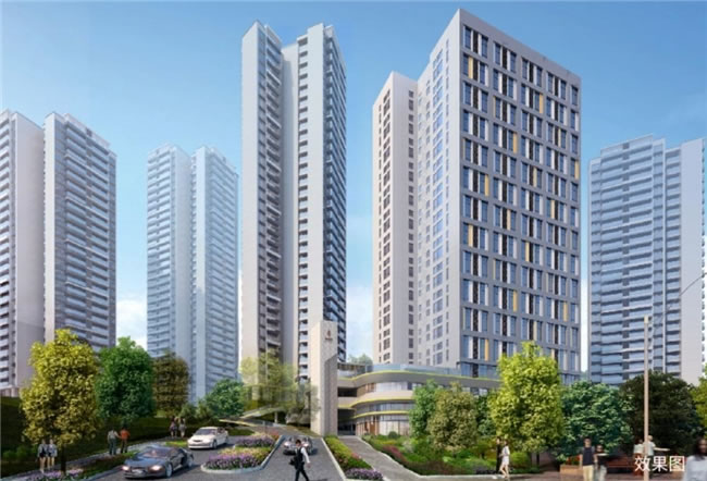 1728541949972475.jpg 未命名-20.jpg