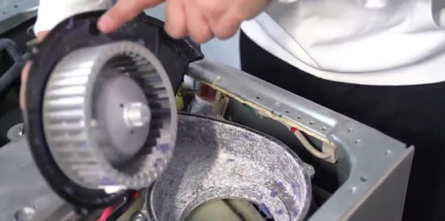 1728980483461432.jpg 未命名-10.jpg