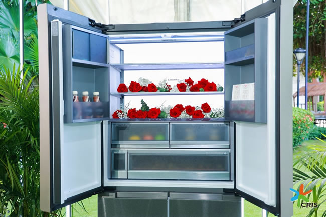 1734687335256422.jpg 未命名-31.jpg