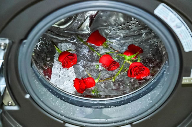 1737541669959818.jpg 未命名-2.jpg