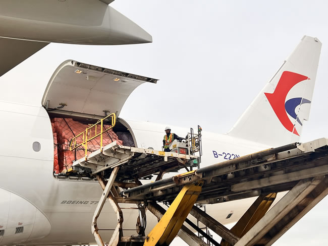 1744379388354781.jpg 未命名-4.jpg