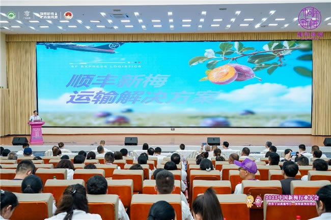 1754729521280950.jpg 未命名-2.jpg