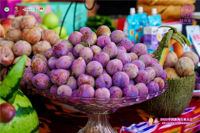 1754729526525943.jpg 未命名-3.jpg