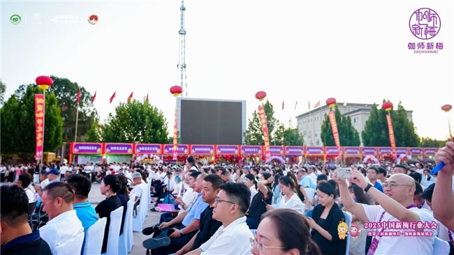 1754729539504421.jpg 未命名-5.jpg