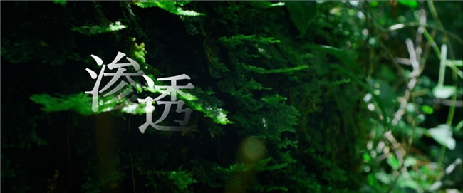 1755956196467187.jpg 未命名-7.jpg