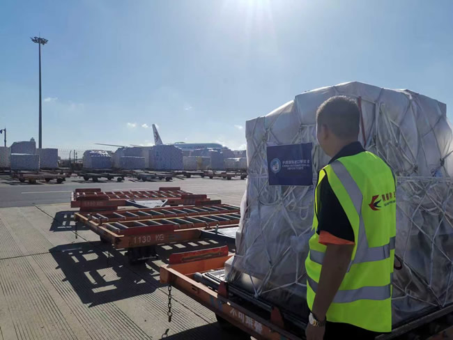 1758879798618079.jpg 未命名-8.jpg