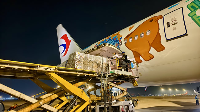 1765173678887785.jpg 未命名-4.jpg