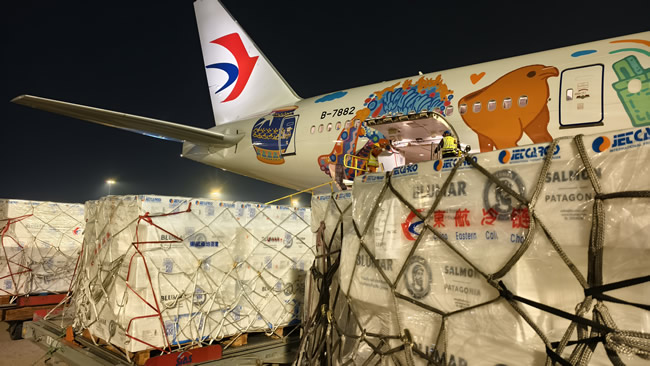 1765174368416545.jpg 未命名-2.jpg