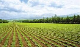 �����˶����� ׷�����������������˰�Ϊ����������