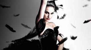 ��Ϊ������ΪʲôҪ����8ֻ����죿