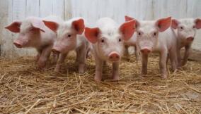 �����۸�������3.59% ���ǿռ�����