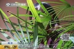 ��ѧ��������ѵ��  ��ѧ��ȴΪ������������������