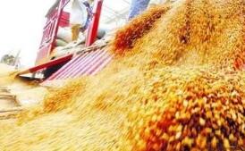 ��ļ����׷����ƴ���깺 �����ƴ���������汻̯��