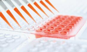 �໨�ɳ������ϵ�50Ԫ/ƿ