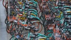 2019�Ĺ������� ���Ʋ������컨�����Ӯ�ң�