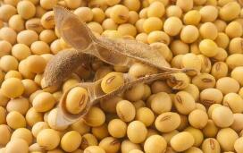 ����Ͻ������ʳ����൱��10���µ��г���Ӧ��