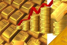 ������᣺���꽫���������ƽ����⿪�Ŵ�ʩ���