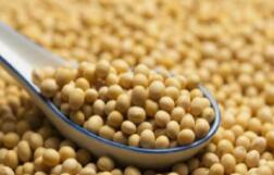 ר�ң���������ṹ�ڽ��ڽ���������