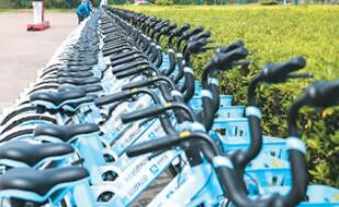 �г����׶3����Ԫ ���������ڡ��������й淶��չ