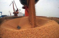 ����ǰ������34������ҩ���� ����ҩ��ռ�����