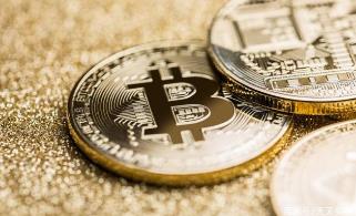 ���������Ͷ�� ��ʽ����²ˡ�ƭ�����Ǯ