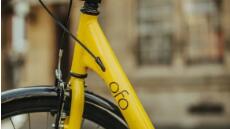 ��Ѻ���˾С�Ƴ���Ӯ�ˣ�����Ѻ�𣬻�����Ҫ988��