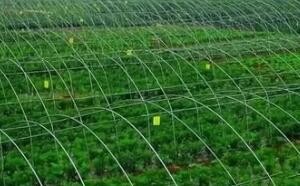 �ҹ���Ҫ���ݺ�����Դ�Ը��ʳ���75��