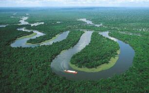 ɽ������Դ��������������������49.1%����ȫ����ʡ����