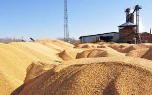 �׾��г������߸� �б�ҵ��������֤��