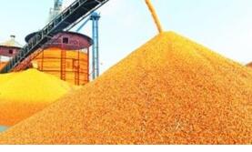 ��������������������Ϊ��