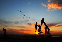 ���ڳ�Ʒ�ͼ���������󽵷�