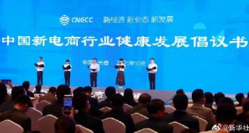 20���µ���ƽ̨��ҵ�������й��µ�����ҵ������չ�����顷