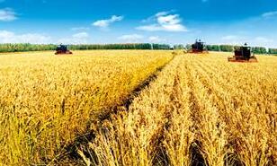 ��˫����Ķ��1500�����������ο�