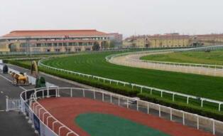 2021��ڶ�ʮһ����������Դ���粹����Ŀ�嵥����