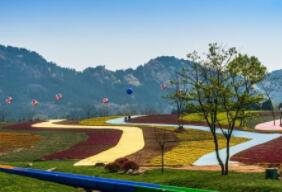 ��254����屻ȷ��Ϊ2021���й������������