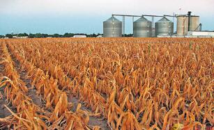 ȫ�����������չ����� �����������ۼ��չ�1310�ڽ�