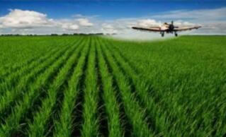 ����11�³ɼ���͸¶����Щ��Ҫ��Ϣ��