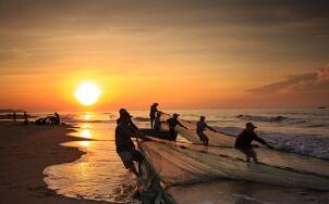 ����ͳ�ƾ֣�12����ѮҺ����Ȼ���۸񻷱��µ�18.4%