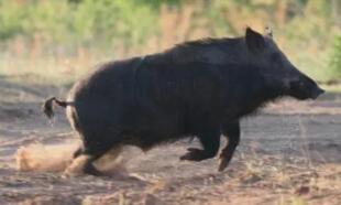 ũҵũ�岿����ʮ���塱�������������������������ڼ���ҵ