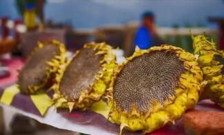 �����۸������µ����������������ⲻ�٣���ũӰ�켸��