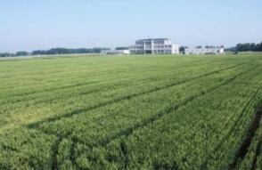 ���ɹŸ߱�׼ũ�������������4600��Ķ