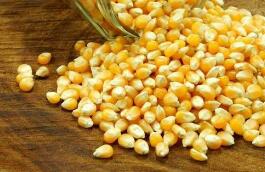 ��ǿ�֡��ж� �۽���ҵ�ؼ�����ͻ��