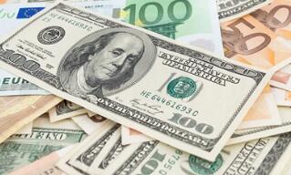 2021���ҹ��羳�ʽ��������� ������֧����ƽ��