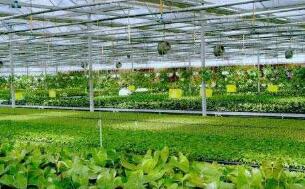 2�¶������������������ͬ���½�