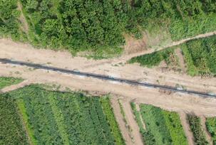 ������Ȼ����Ӧ �ҹ��ú��������ܵ��񰲹ܵ��նο�������