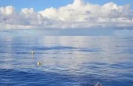 ������ÿ������2��Ԫ�ƶ���ѩ����ʻ��쳵��