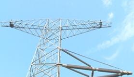 �㶫�������족���Ϸ��װ���״γ��ں����г�